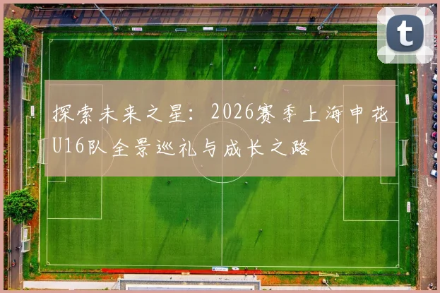 探索未来之星：2026赛季上海申花U16队全景巡礼与成长之路